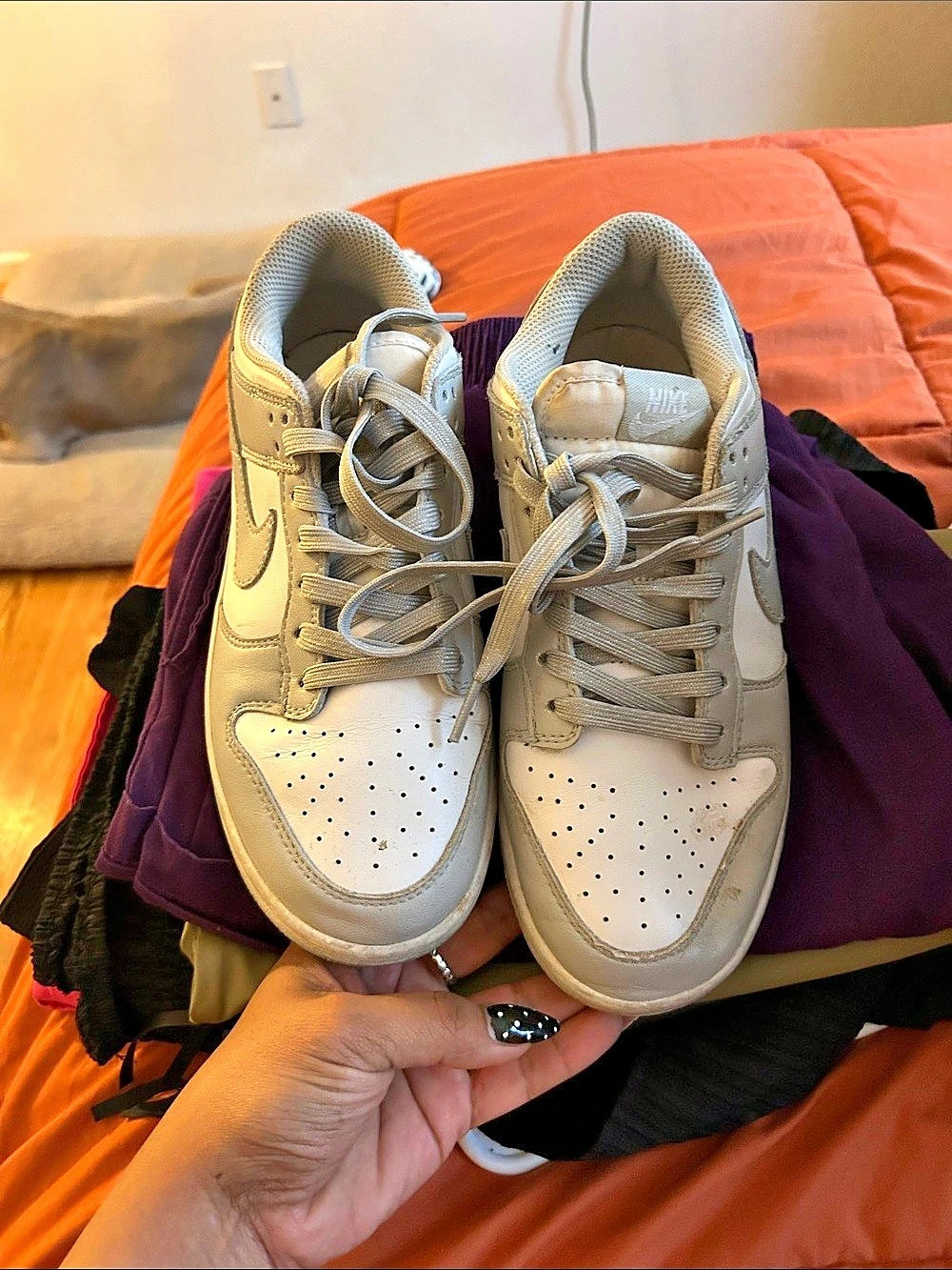 Nike Dunk Low Light Smoke Grey Low-Top Sneakers in White